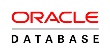 Oracle DB logo