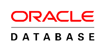 Oracle DB logo