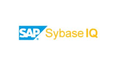 Sybase IQ logo